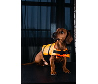 Спасательный жилет для собак размер  XL